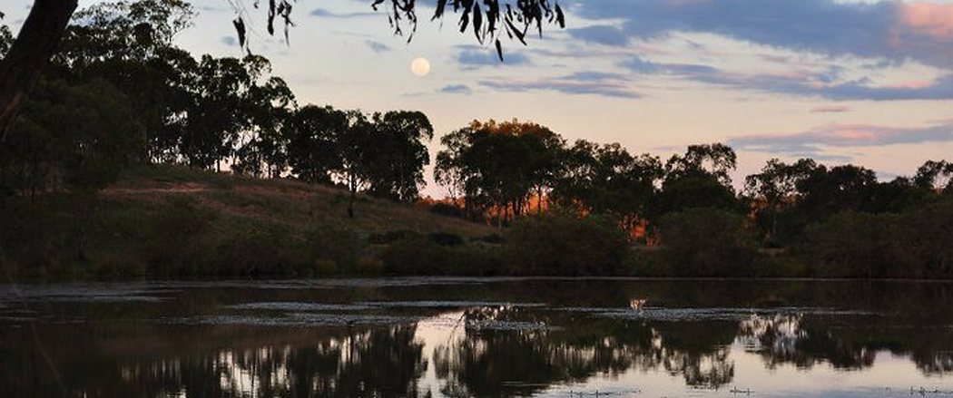 A group camped together at Glendon