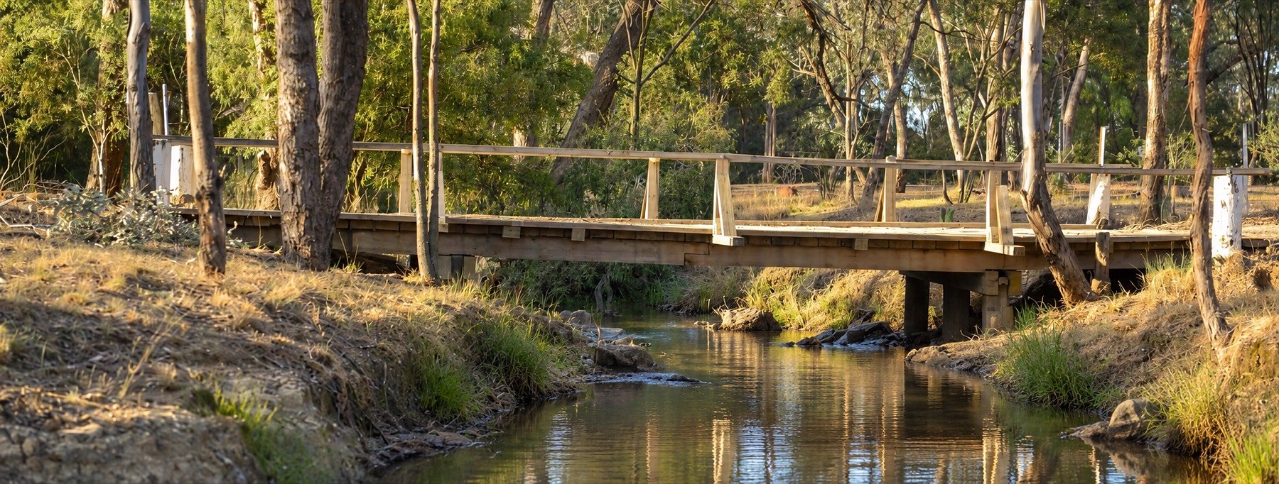 The footbridge over Thanes Creek beside the camping area